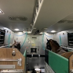 【未経験者歓迎】【運転時には高額手当支給】未経験OK！内勤メインの競馬物流アシスタント 愛知県弥富市一般事務・営業事務・アシスタントの画像