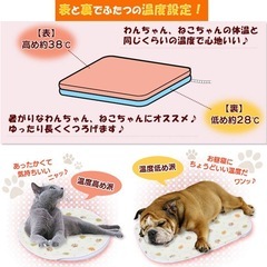 【無料】アイリスオーヤマ ペット用ホットカーペット×2個（犬猫用ヒーター） の画像