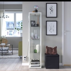 最終値下げ 11/8までの出品　IKEA BLÅLIDEN ブローリーデン コレクションケース の画像