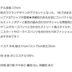 新品　Tシャツ　未使用 の画像