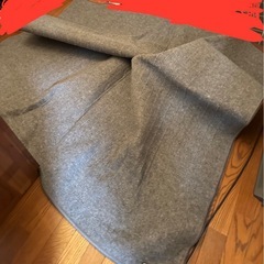 ホットカーペット サンヨー  動作確認済みの画像