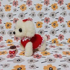 羊毛フェルト 可愛い服きた　マルチーズ 餌付きの画像