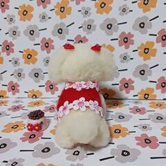 羊毛フェルト 可愛い服きた　マルチーズ 餌付きの画像