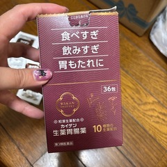 カイゲン　生薬胃腸薬の画像
