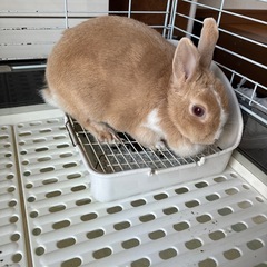 どなたかよろしくお願いします🙇🏻‍♀️՞