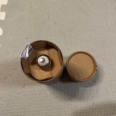 【美品】【未使用】エジソンランプの画像