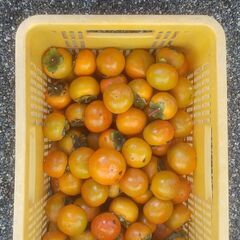 柿　20個　200円の画像