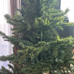 クリスマスツリー　150cm