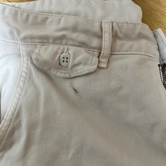 ドミンゴの画像