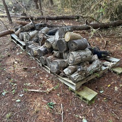 木製パレットお譲りします／DIY・コンポストに！の画像