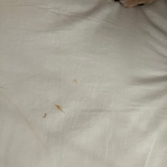 ベビー布団と布団カバーの画像