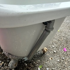 猫足　バスタブの画像