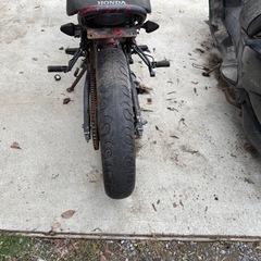 FTR  実働　現状 欠品あり　千葉の画像