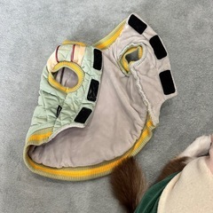 ワンちゃん用スカジャンMの画像