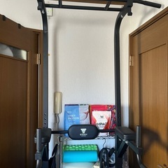 懸垂マシン　STEADY 定価13,990円
の画像