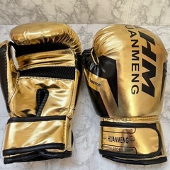 ティーンエイジャー向けの戦いボクシンググローブ、プロスタイルのトレーニンググローブ6-14オンス、トリプルコンビネーションライナー パームデザイン、ボクシング、キックボクシングの画像