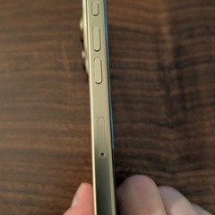 iPhone 16 Pro 256GB Gold Titanium
の画像