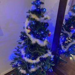 クリスマスツリーの画像