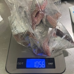 釣り餌カツオ、マグロはらごの画像