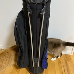 ゴルフバックの画像