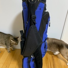 ゴルフバックの画像