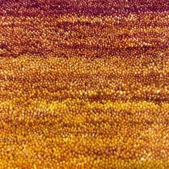 【新品】ギャッベ チェアパッド 約40×40cm 1枚の画像