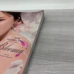 AAA 宇野美沙子UNO MISAKO写真集の画像