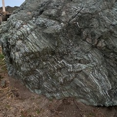 庭石　　三波石（さんばせき）の画像