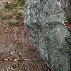 庭石　　三波石（さんばせき）の画像