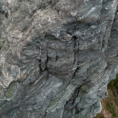 庭石　　三波石（さんばせき）の画像