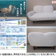 【堺市民限定】(2511-02) コンパクトローソファーの画像