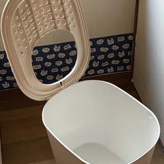 猫トイレ　　上から出入りの画像