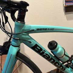 ビアンキ　ベルガモ　2022年製　46cmの画像