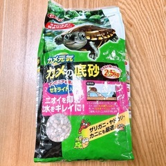 決まりました😊カメ ザリガニ カニ ヤドカリ GEX 底砂の画像