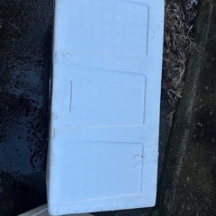 【受付終了】メダカ飼育にどうぞ。特大発泡スチロールの画像