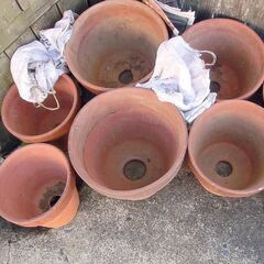 植木鉢　無料の画像