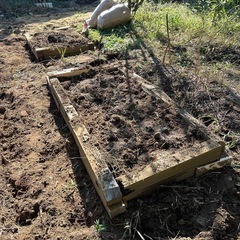 木製レイズドベッドの画像