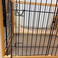 犬小屋　犬　小型犬　中型犬　の画像