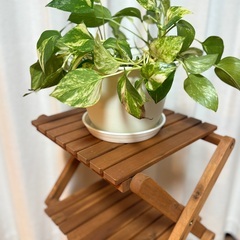 アカシア　4段ラック　美品の画像