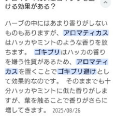 アロマティカス4〜5本の画像
