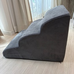 【MESTUEL】ドッグステップ　ダックス
の画像