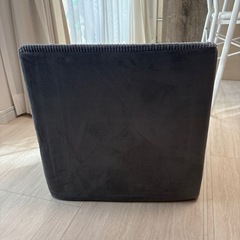 【MESTUEL】ドッグステップ　ダックス
の画像