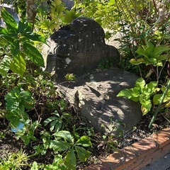 庭石の画像