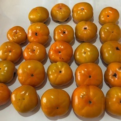 柿食べごろ　無農薬　柿 24個(約3.1kg)の画像