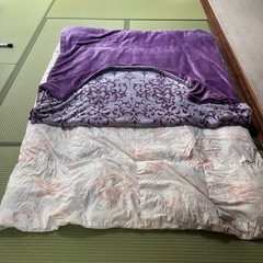 掛け布団、紫の毛布カバー付きの画像