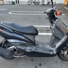 シグナスX の画像