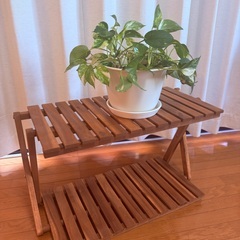 アカシア2段ラック　美品　ワイドの画像