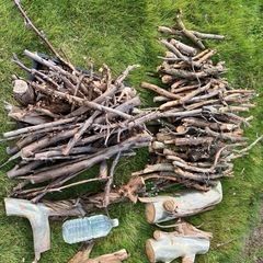 木の枝　薪
の画像