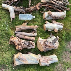 木の枝　薪
の画像