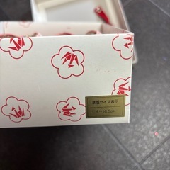 サマーナンバー専用の
七五三用草履の画像